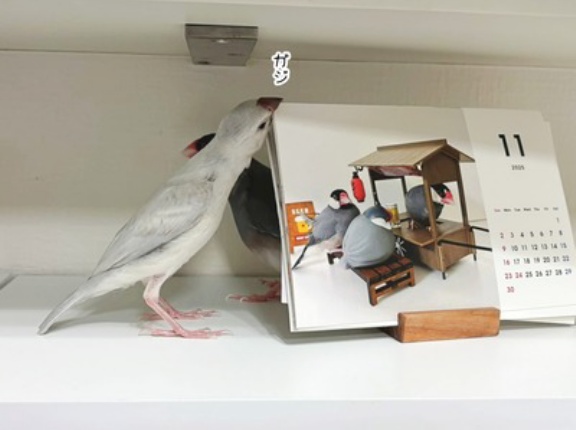 初めての共同作業