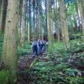 山行報告   安 蔵 寺 山 登 山（島根県）