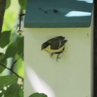 【夏の庭】新しい世界に踏み出す第一歩はいつも尊い！