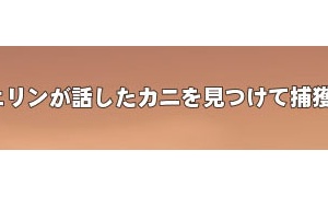 　カ　ニ　と　話　す　女