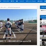 『ああ、あの野球は「遊び」だから』の画像