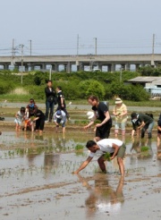 Fukushima Local Activities By Children & Foreigners