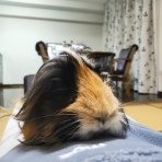 早乙女チャンネル２