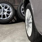 マーキー 49歳からの42.195km