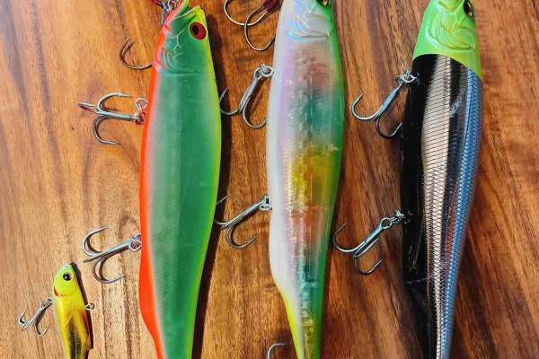 シーバス Amp ライトゲームな日々 ロッド シーバス Amp ライトゲームな日々 ロッド