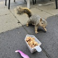 「風邪っぴき」確定らしい。😭😭😭