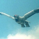 聖忍獣ツバサマル