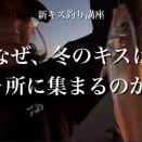 【12.6須磨】なぜ冬のキスは1か所に集まるのか？