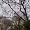 2025/03/12 興禅院