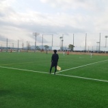 『コスモスにて』の画像