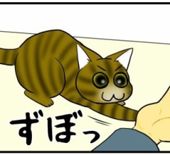 【本日の猫様】寝返りの儀式？