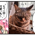 くららんち。～B型夫婦と猫２匹の日常～