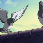 【マジ注意】キッチンの換気扇からかわいい鳩の鳴き声がする　→　ガチで取り返しつかない最悪の◯◯◯◯になるから今すぐ除去して！！経験者の語りが怖すぎる…