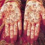 車、エンジン、環境、旅行等