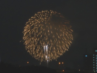 【守口】いま守口の河川敷から「なにわ淀川花火大会2025」の花火みえてる