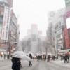 【悲報】関東の雪、ガチでヤバい