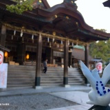 ボッチワイ、ポケモンと旅をする（画像あり）