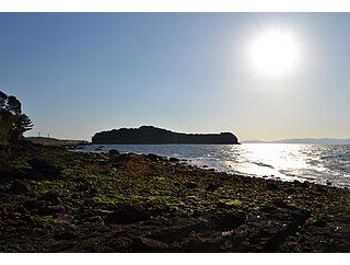 水俣病の実質的発見者は朝鮮で日本軍の松工作を成す軍医だった現チッソ水俣工場附属病院長の細川一