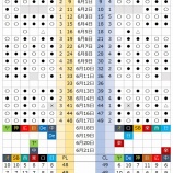 『交流戦、1差で最終日』の画像