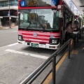 京都駅前バスターミナルに発着する主な路線バスは…