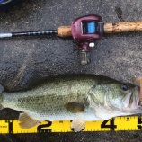 『9月17日 琵琶湖 ウオデス乙型小で50アップ！(常吉 TUNEKICHI 村上晴彦』の画像