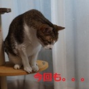 だいぶ