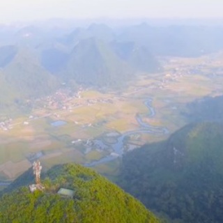 Nicheee! [ニッチー！]　｜　テレビリサーチ会社がお届けする情報サイト