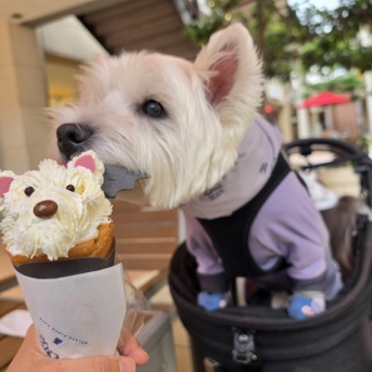 gelato piqueのハロウィンクレープ