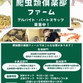 爬虫類倶楽部ファームスタッフ募集のお知らせ