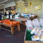 かわうそ、だもんで。