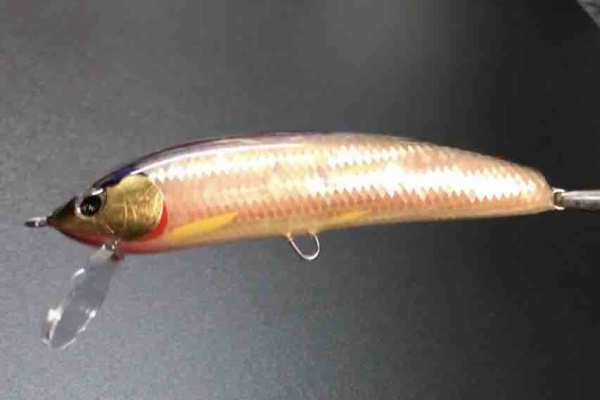 ORA Minnow Serendipity