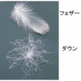 『ダウンとフェザー』の画像