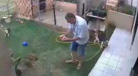 【動画】庭で蟻の巣を見つけた男、ガソリンかけて火をつけると予想外の結果に