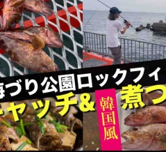 須磨海づり公園でガシラをキャッチ&韓国風煮つけ