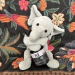 胡桃随想曲 聖市調～ ブラジル サンパウロのまいにちブログ ～