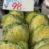 『【祭りセール】本日のお買い得品NO1』の画像