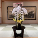敬老会