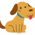 子犬サイズだったら飼いたい動物