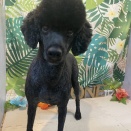 イメチェン✄﻿