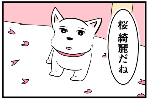 ちーちゃんっ🐾 - 犬あるある