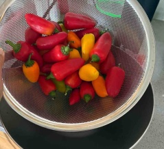 【ご飯日記】ホールフーズの鶏むねカツ・バケツアイス・断捨離