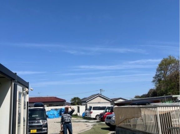 シェルターには常に150以上の犬猫さん達がいます。