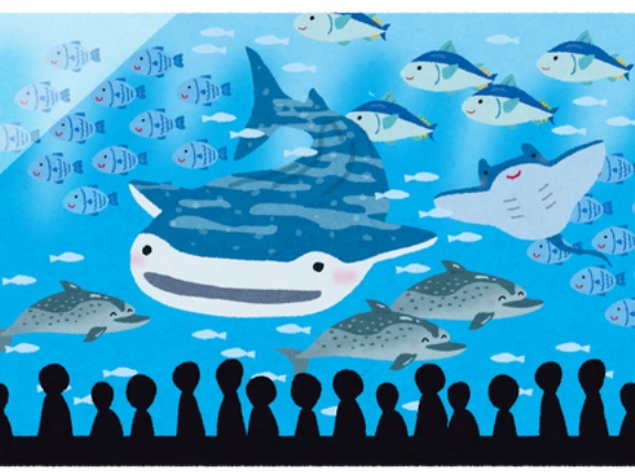 俺(36)の趣味がひとり水族館だがどんなイメージ？