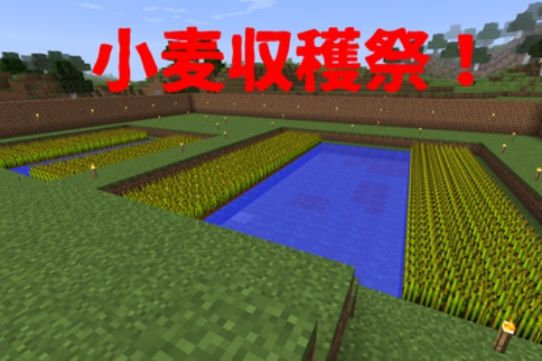 Hiroのマインクラフト日記 Pcver1 8 小麦