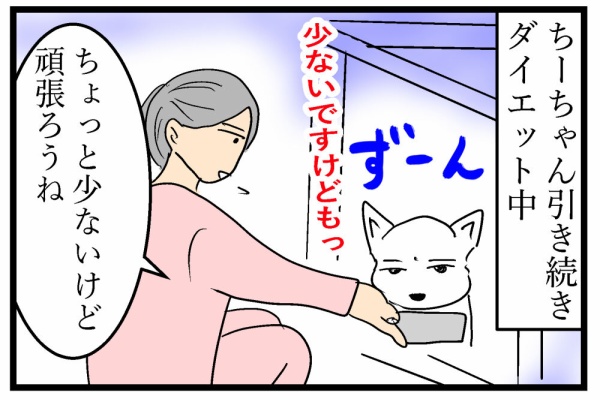 ちーちゃんっ🐾 - ちーちゃんダイエット