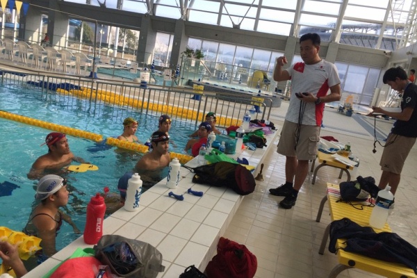 【選手支給】2016-17 TOBIUO JAPAN トビウオジャパン 競泳水泳 日本代表 世界短水路 浜松強化合宿 arenaトレーニングトップス ポロシャツ 2016-17 TOBIUO JAPAN トビウオ ジャパン 競泳・水泳 日本代表 Mizuno