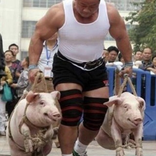 筋トレ予備校まとめ