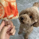 『夏はやっぱりアイスだね🍦』の画像