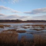食事と旅と時々鉄分