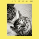 あしたの手術とおしらせ